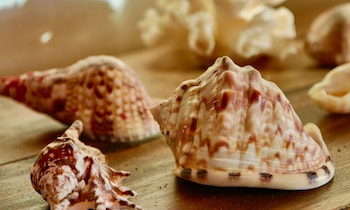 quill gardens estate