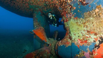 quill gardens estate