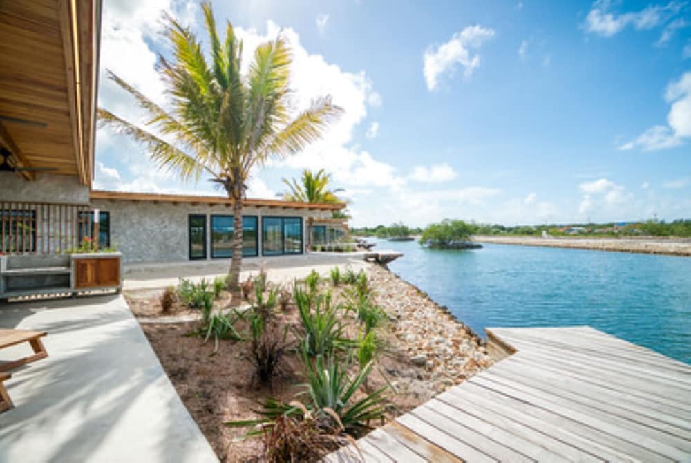 seabird belize