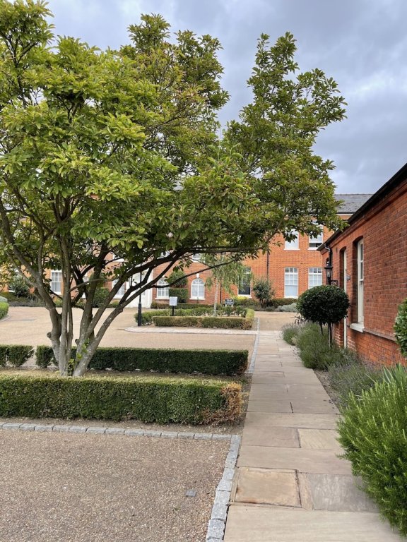 luxurious private one bedroom apartment