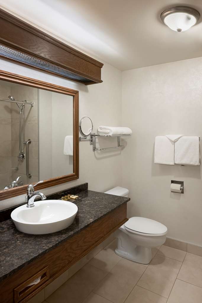 best western plus city centre centre ville