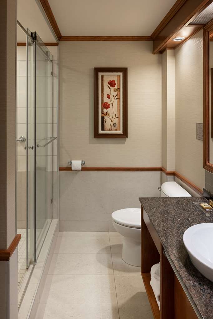 best western plus city centre centre ville