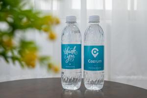 cozrum homes retro house