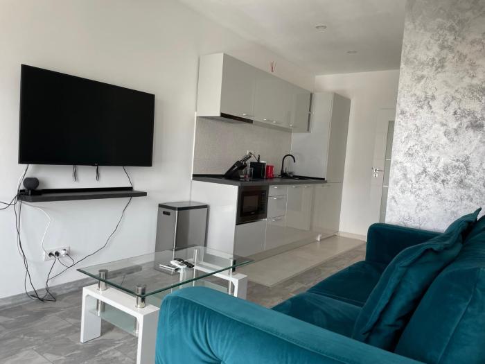 cozy 2 room penthouse lakeview w14