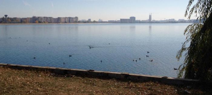 cozy 2 room penthouse lakeview w14