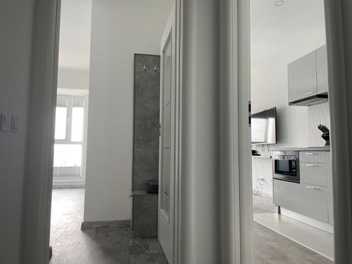 cozy 2 room penthouse lakeview w14