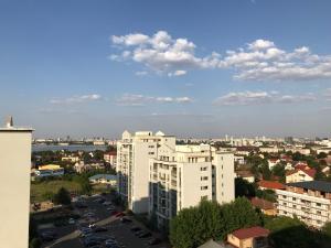 cozy 2 room penthouse lakeview w14