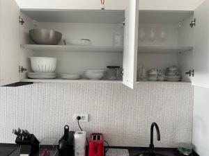 cozy 2 room penthouse lakeview w14