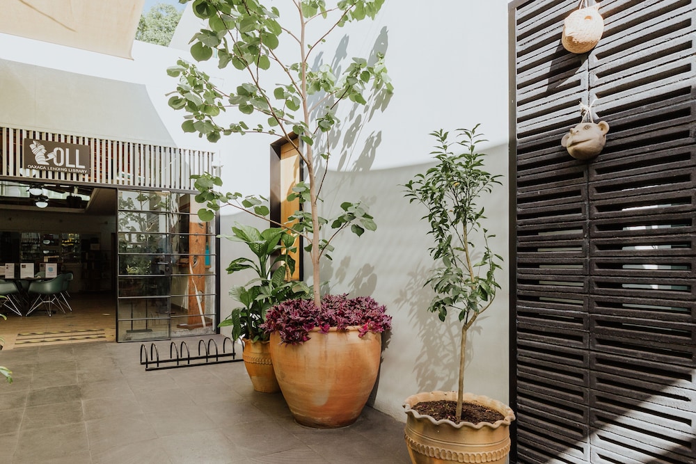 majagua hotel boutique adults only