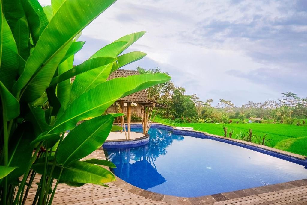 thantha serenity resort