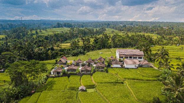 thantha serenity resort