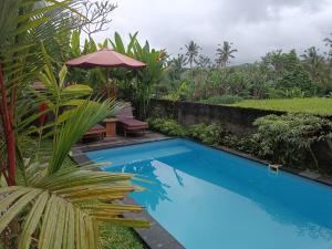 thantha serenity resort