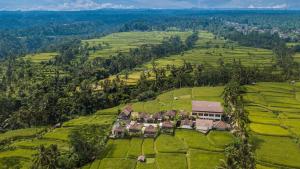 thantha serenity resort