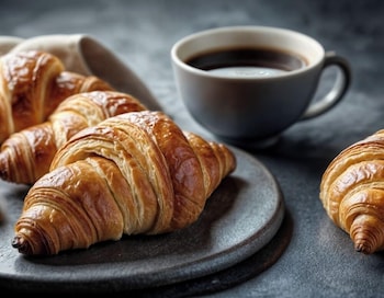 inns of virginia falls church