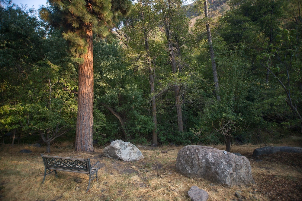 quiet mind lodge retreat and spa sequoias