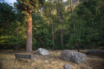 quiet mind lodge retreat and spa sequoias