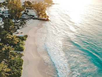 bougainvillea barbados