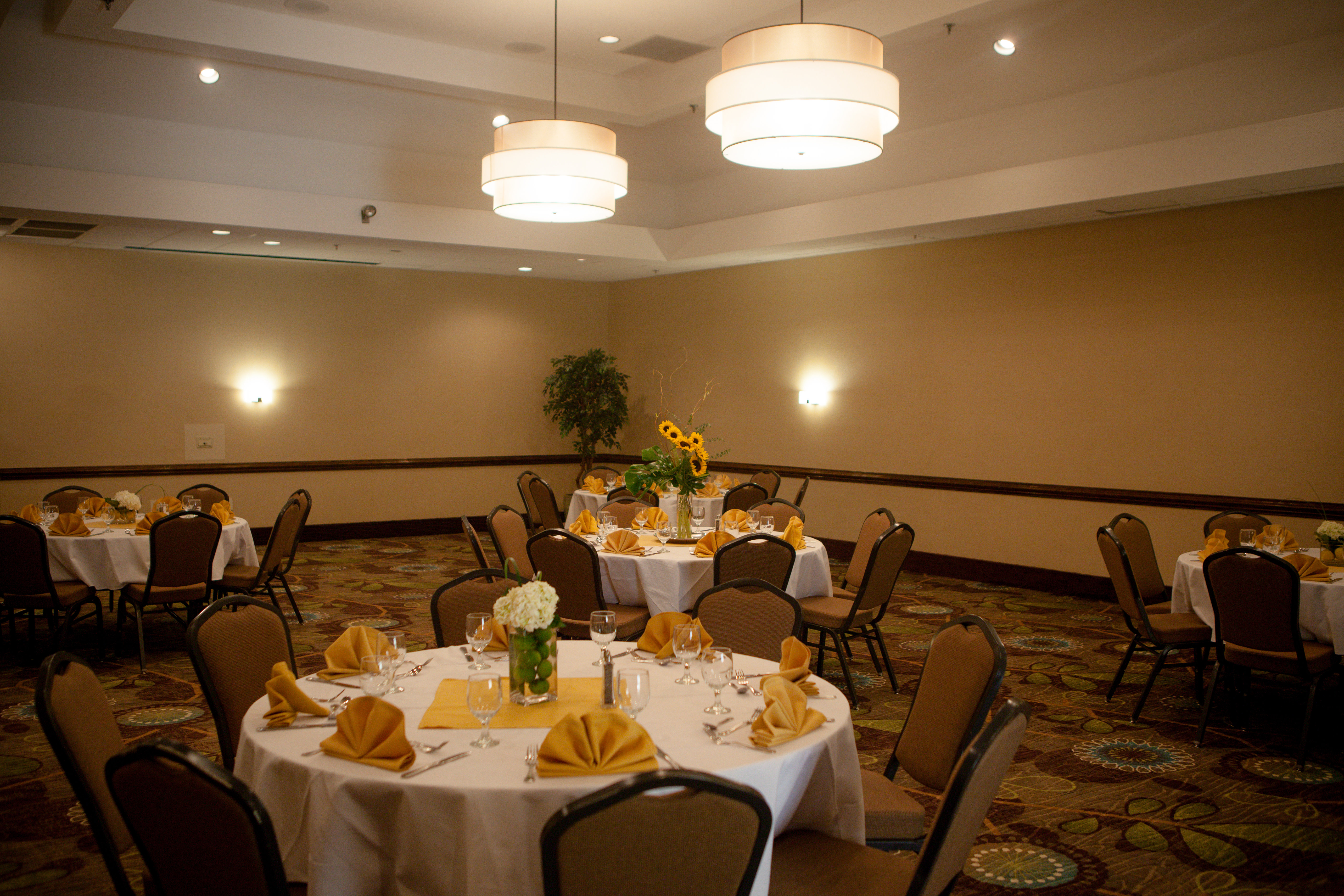 holiday inn greenville by ihg
