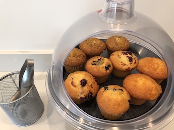 Travelodge By Wyndham Mill Valley/Sausalito,Mill Valley>>Brisbane,2 star