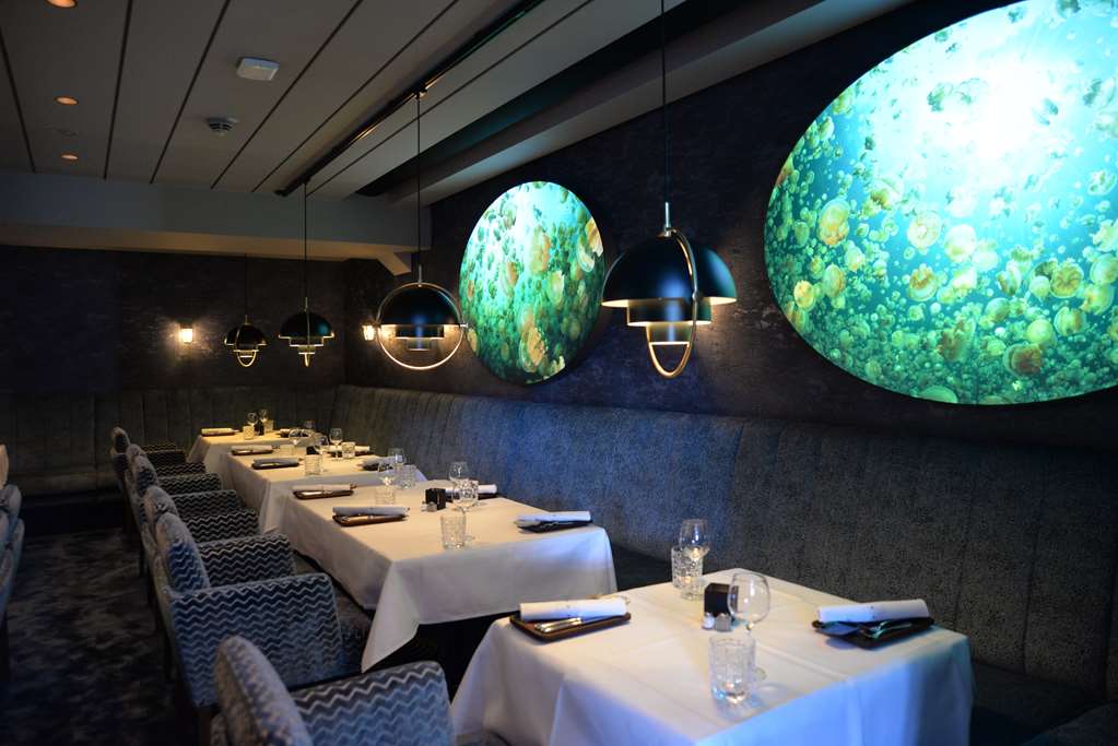 radisson blu senator hotel