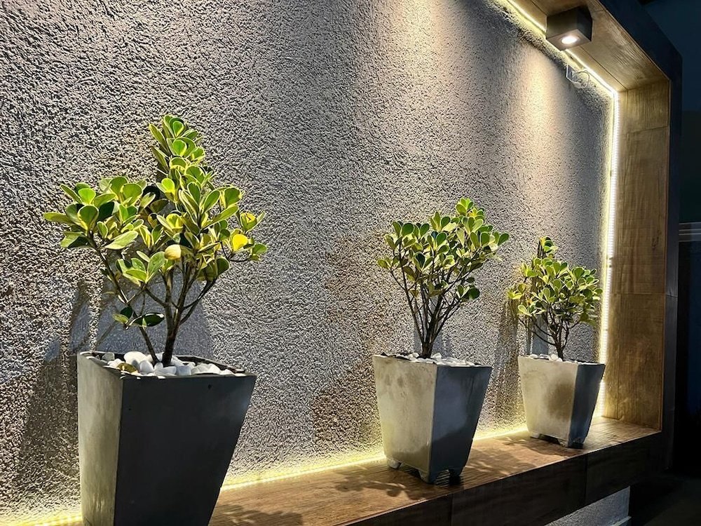 meu lugar na praia tropical