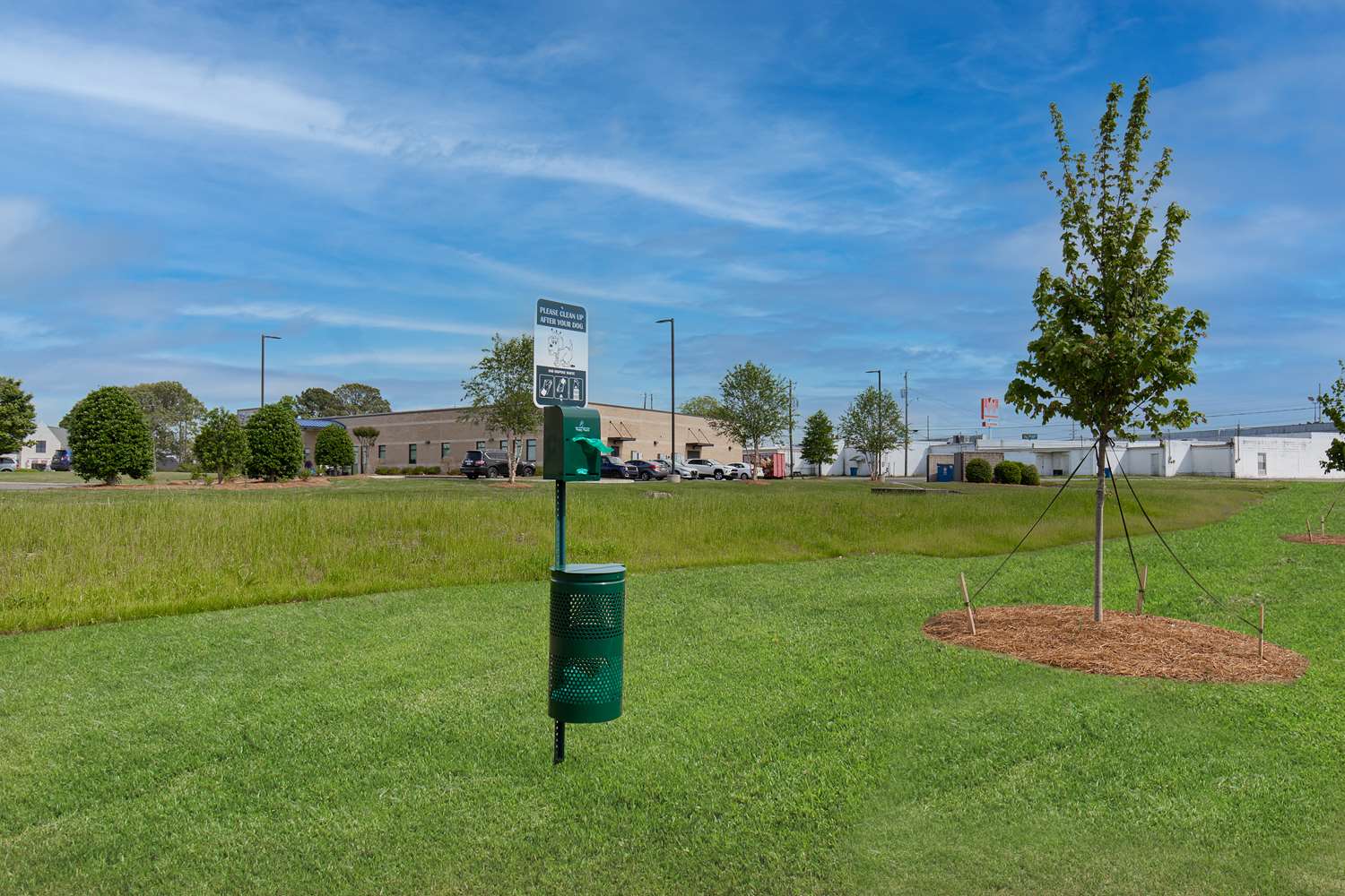 hampton inn albertville