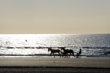deauville