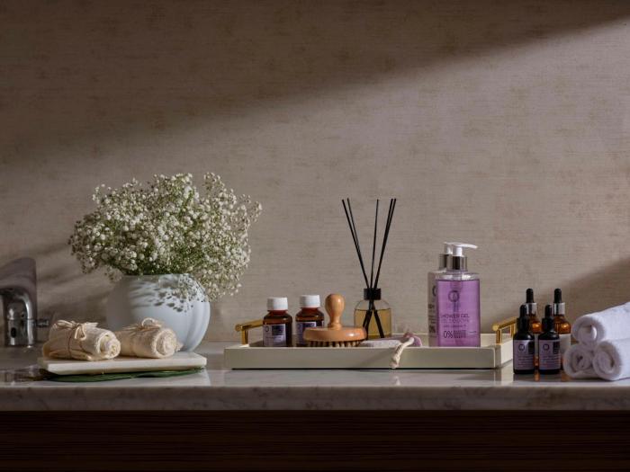 hilton cairo nile maadi