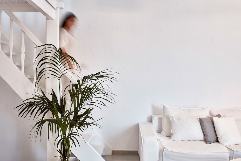 pietra e mare mykonos hotel adults only