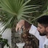 pietra e mare mykonos hotel adults only