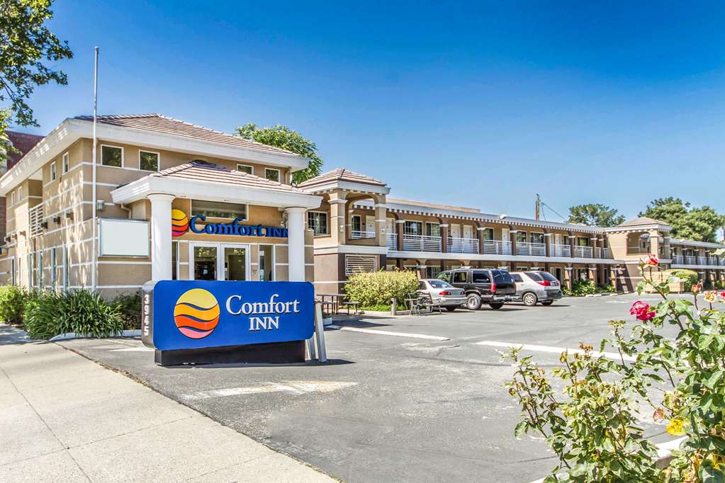 comfort inn palo alto