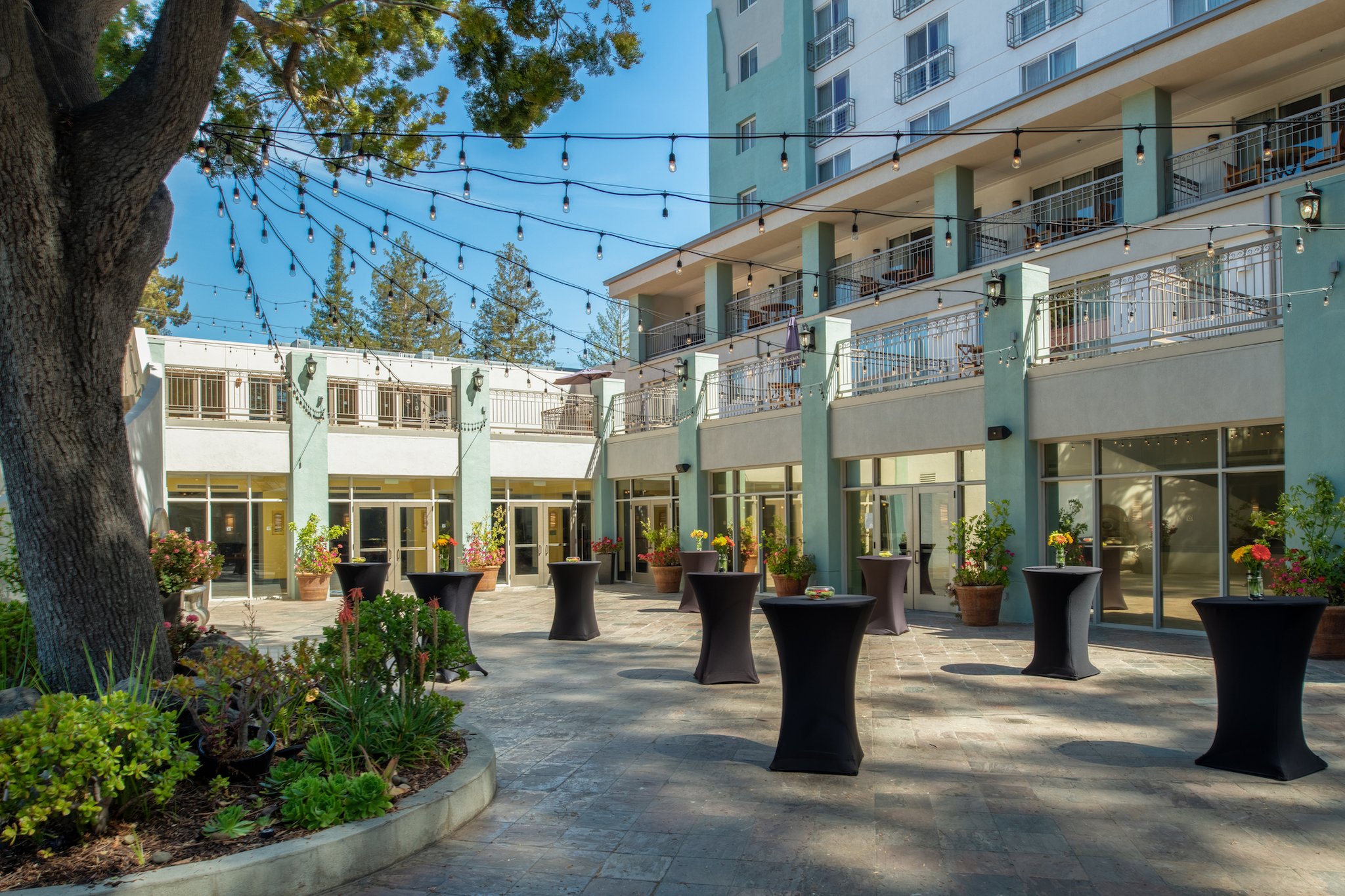 crowne plaza cabana palo alto by ihg