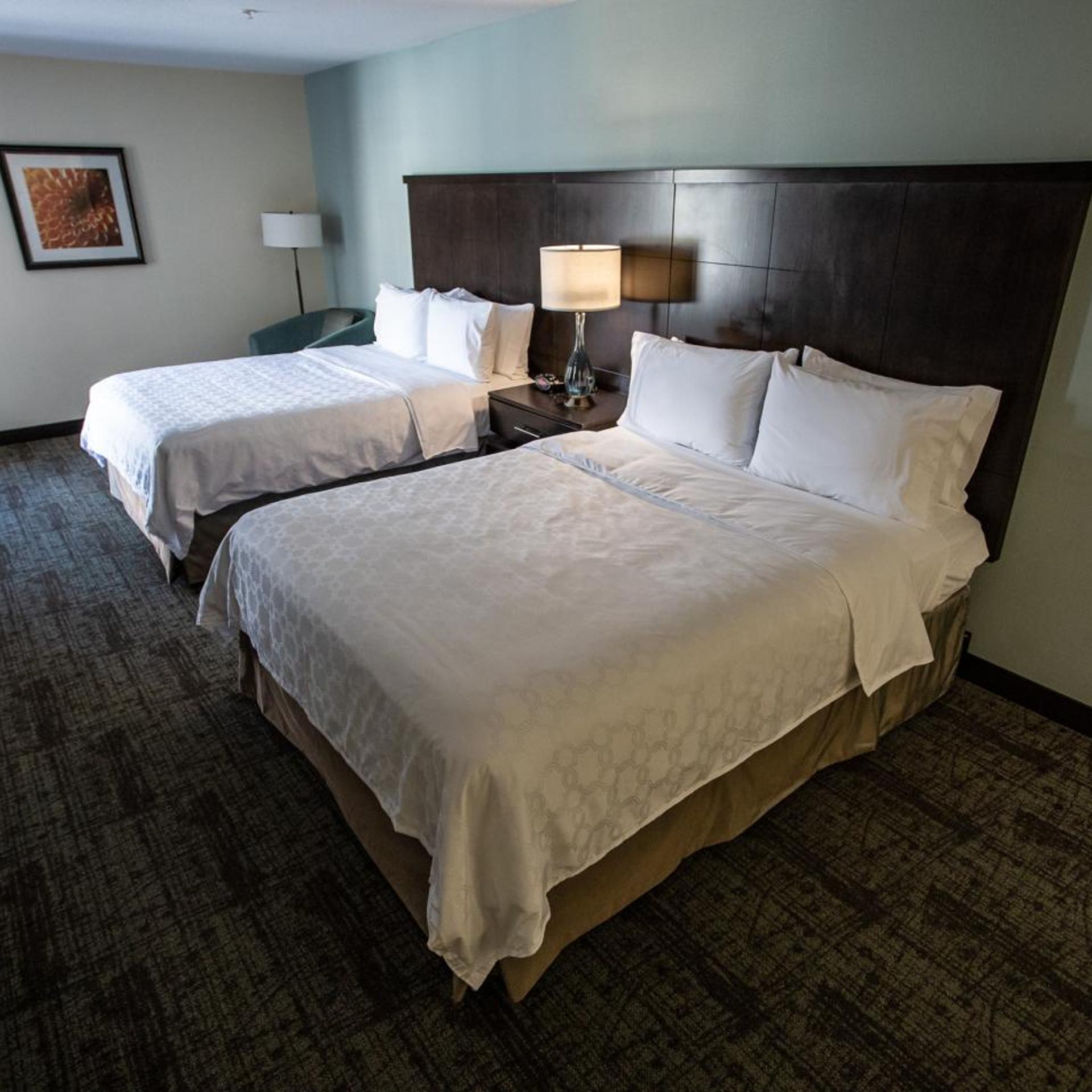 staybridge suites silicon valley by ihg