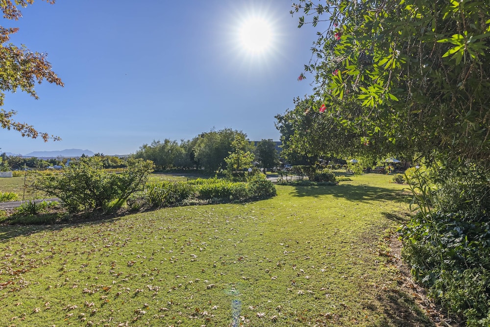stellenbosch