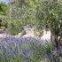 terre de provence hotel and spa