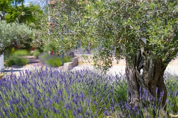 terre de provence hotel and spa
