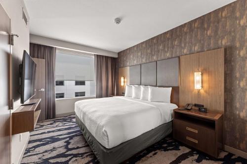 embassy suites by hilton irving las colinas