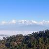 Elphinstone Inn,Sukha>>Almora,5 star
