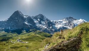 hotel silberhorn residences and spa wengen