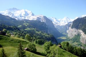 hotel silberhorn residences and spa wengen