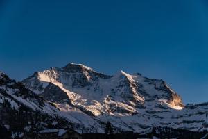 hotel silberhorn residences and spa wengen