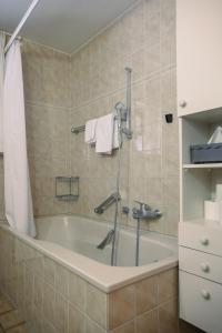 hotel silberhorn residences and spa wengen