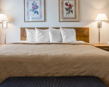 quality inn hudsonville south