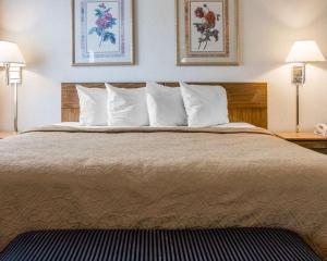 quality inn hudsonville south