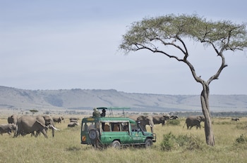 mara serena safari lodge