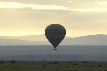 maasai mara