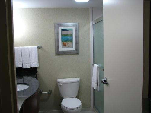 holiday inn and suites virginia beach north beach by ihg