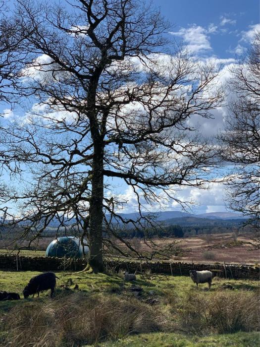 further space at cardross estate