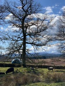 stirling