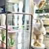 abcyq hotel